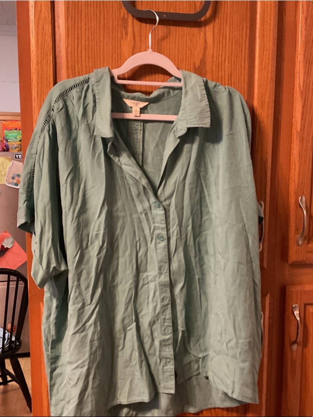 Terra & Sky Sage Green Button-Front Blouse size 2X